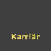 Karriär