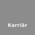 Karriär